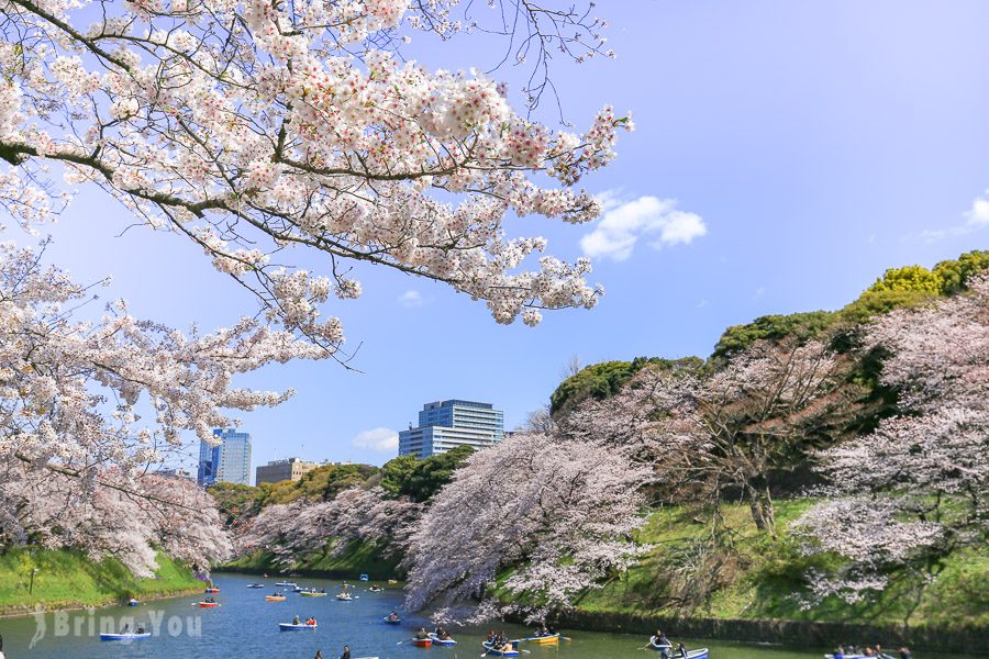 東京賞櫻景點