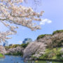 【東京賞櫻名所】千鳥之淵櫻花：划船賞櫻的悠閒時光