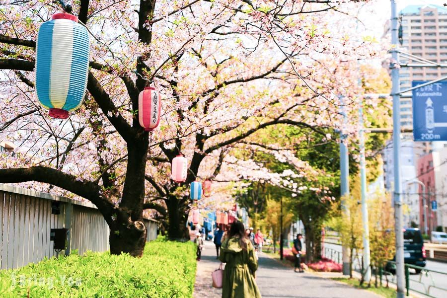 东京赏樱景点