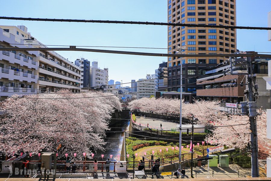 目黑川櫻花祭