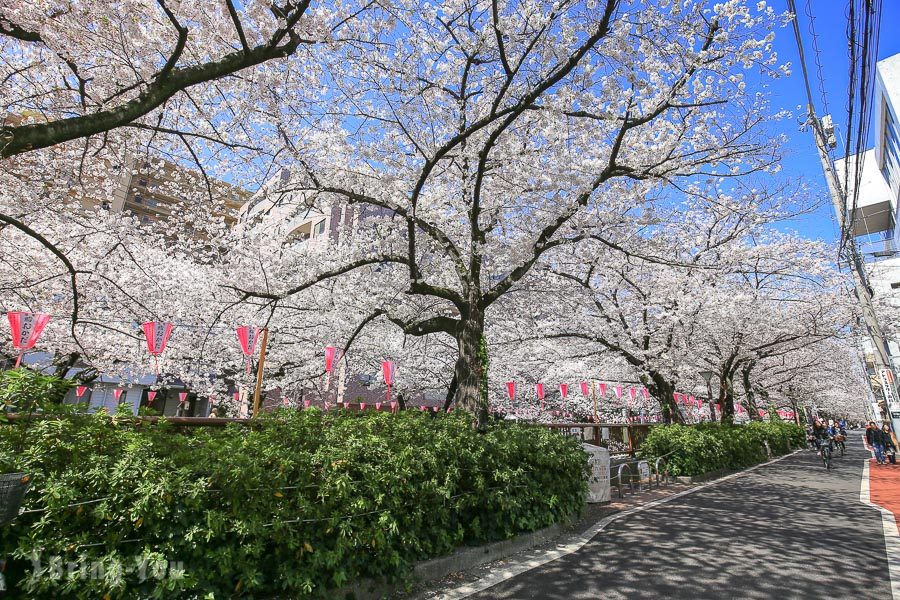 目黑川櫻花祭