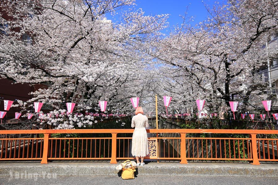 目黑川樱花祭