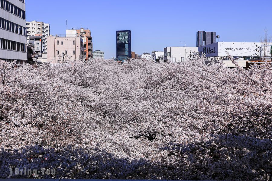 目黑川樱花祭