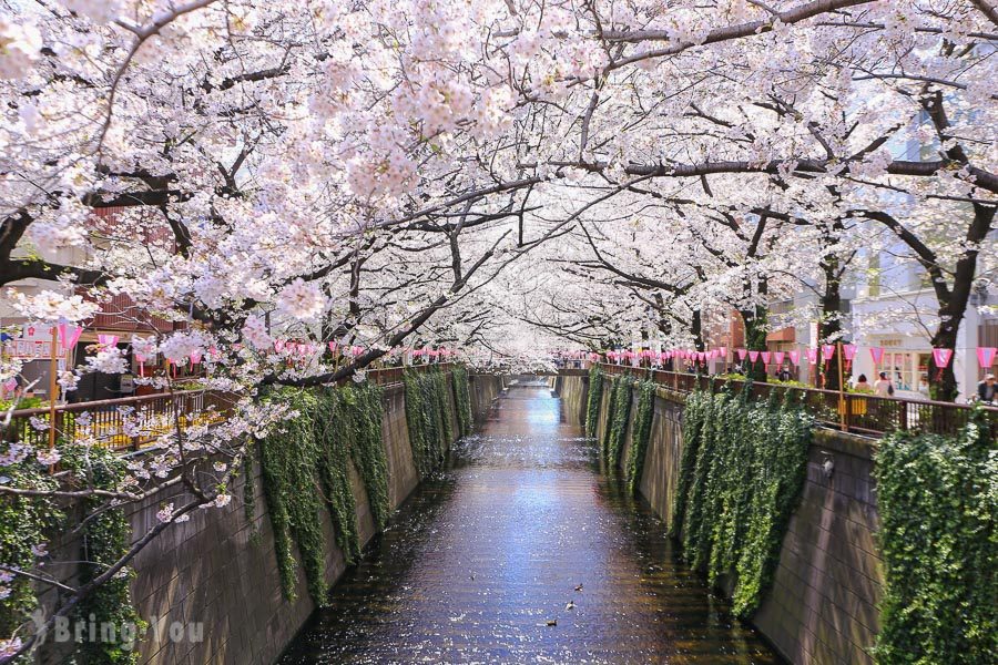 目黑川樱花祭