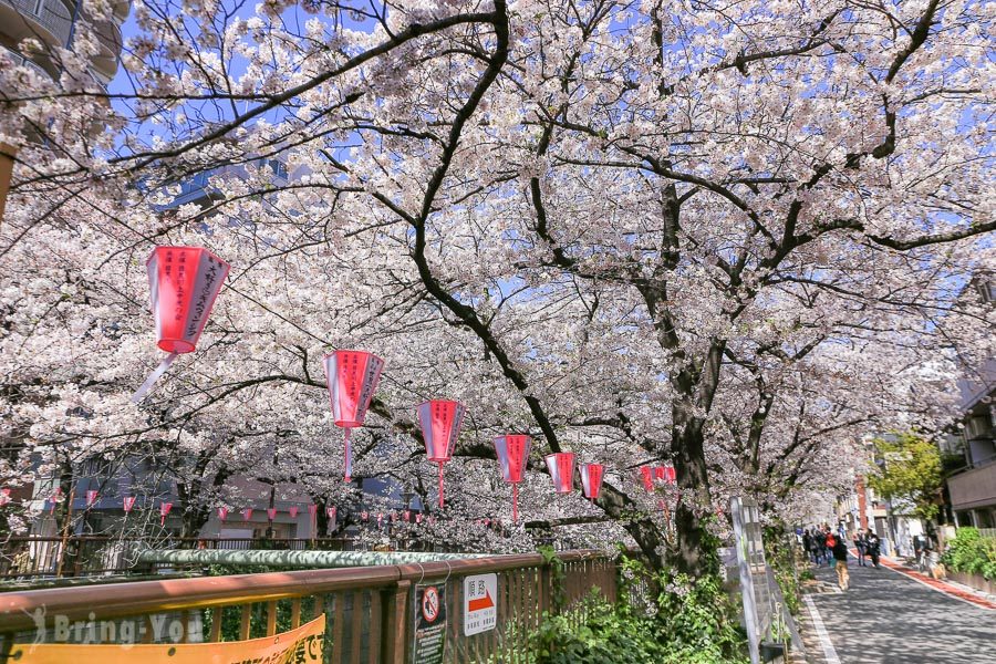 目黑川樱花祭