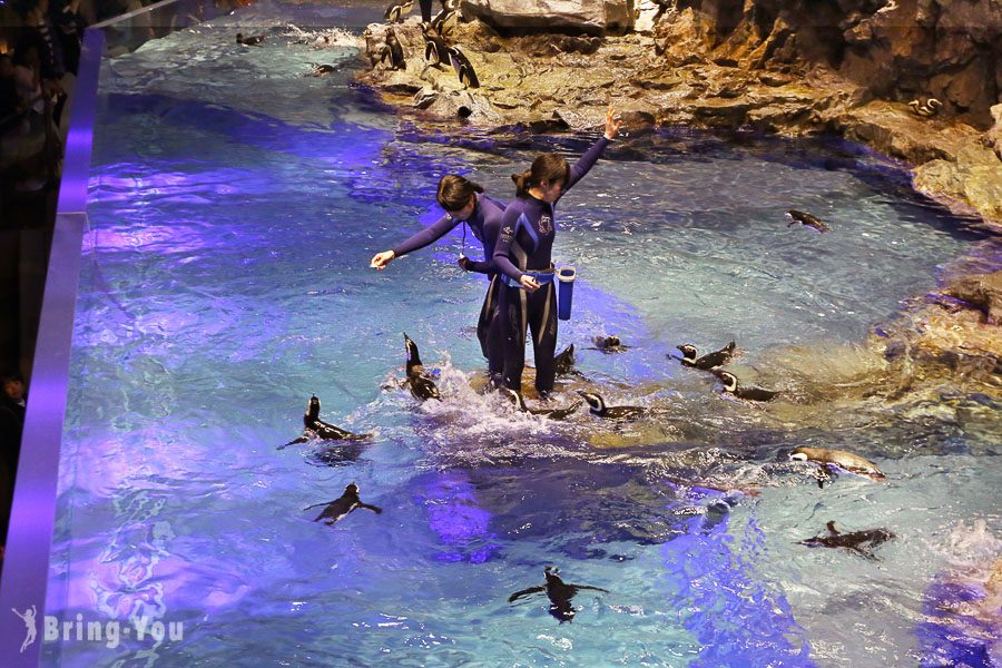 晴空塔墨田水族館