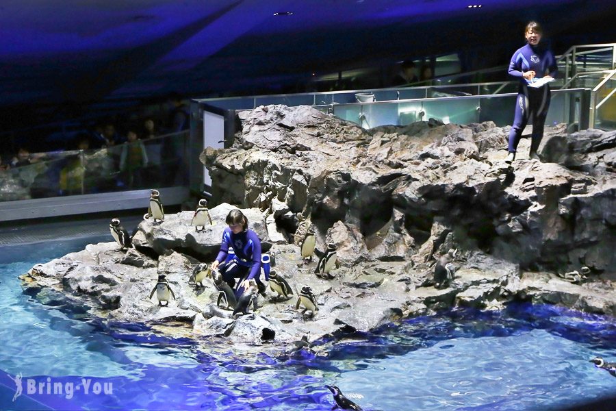 晴空塔墨田水族館