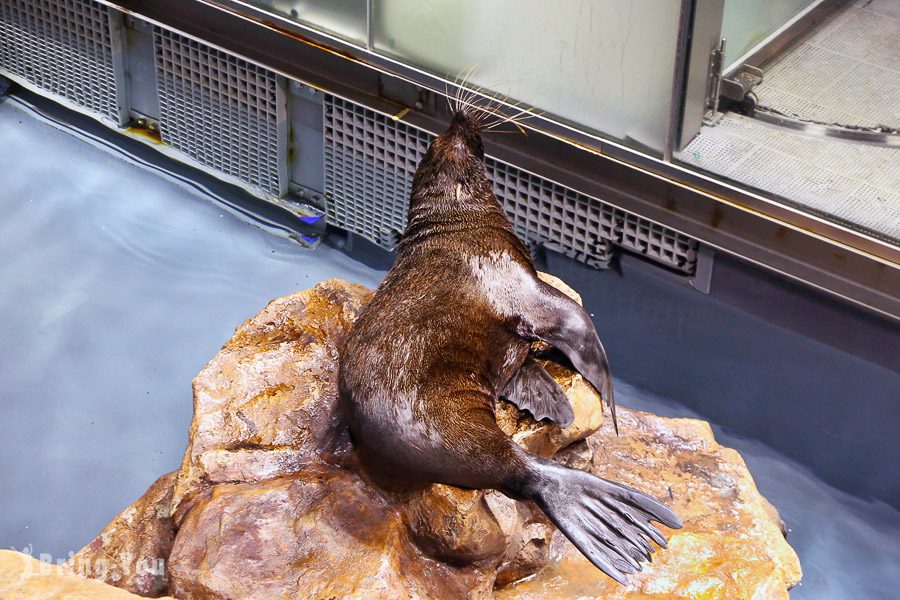 晴空塔墨田水族館