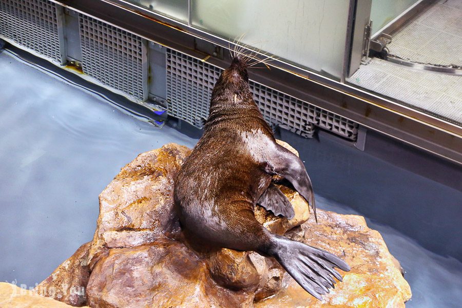 晴空塔墨田水族馆