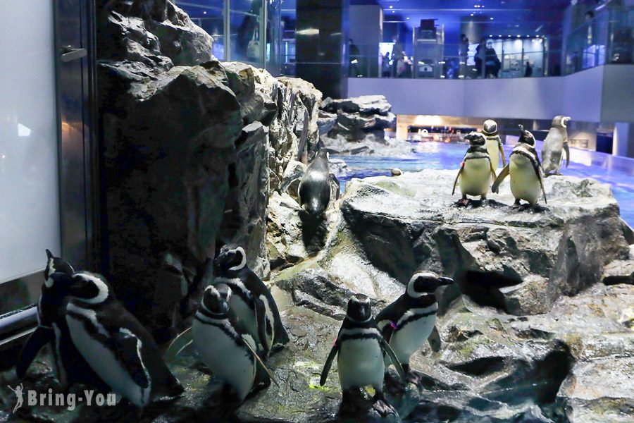 晴空塔墨田水族館