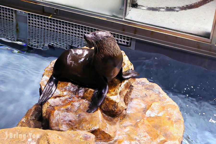 晴空塔墨田水族馆