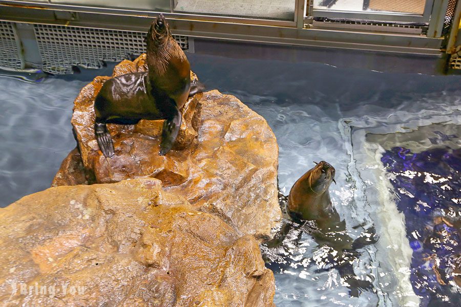 晴空塔墨田水族館