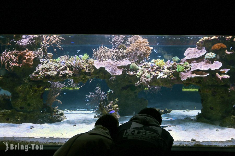 晴空塔墨田水族館