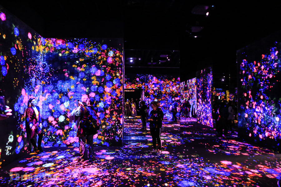 teamLab Borderless Tokyo: Personal Experience, Best Route to Visit ...