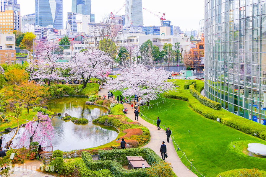 【东京赏樱景点】六本木之丘毛利庭园