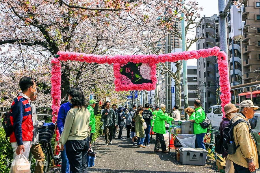 神田川桜并木