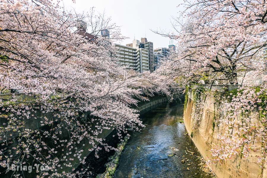 都电荒川线一日游