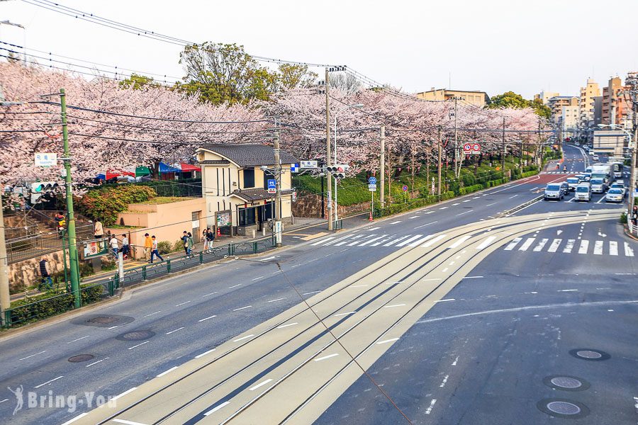 飞鸟山公园