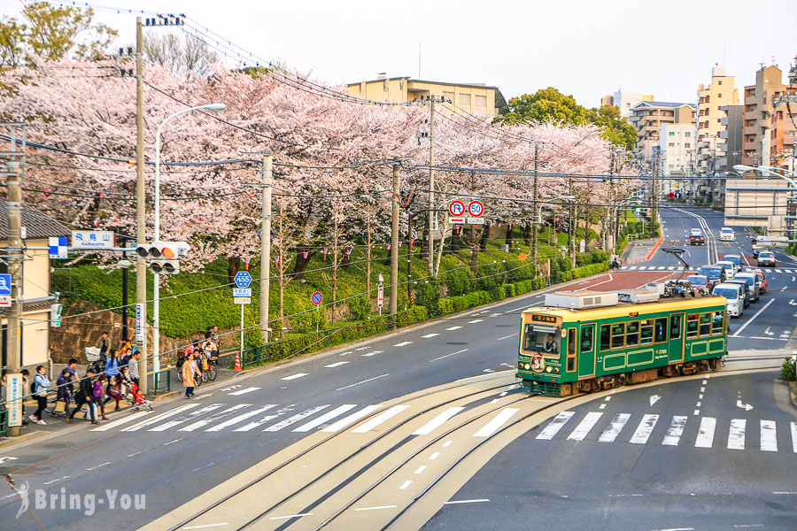 【怀旧铁道都电荒川线一日游】用都电荒川线一日券玩遍沿线面影桥站、飞鸟山赏樱景点