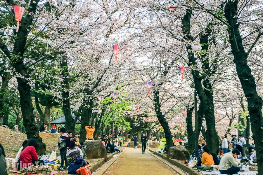 飞鸟山公园