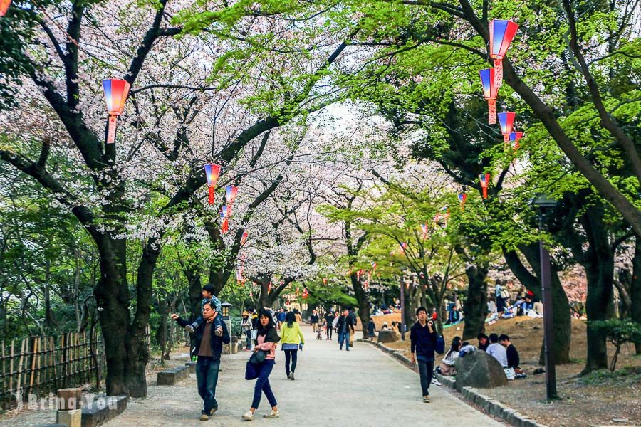 飞鸟山公园