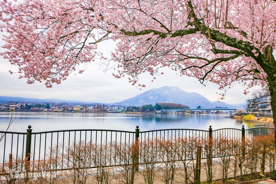 河口湖西湖
