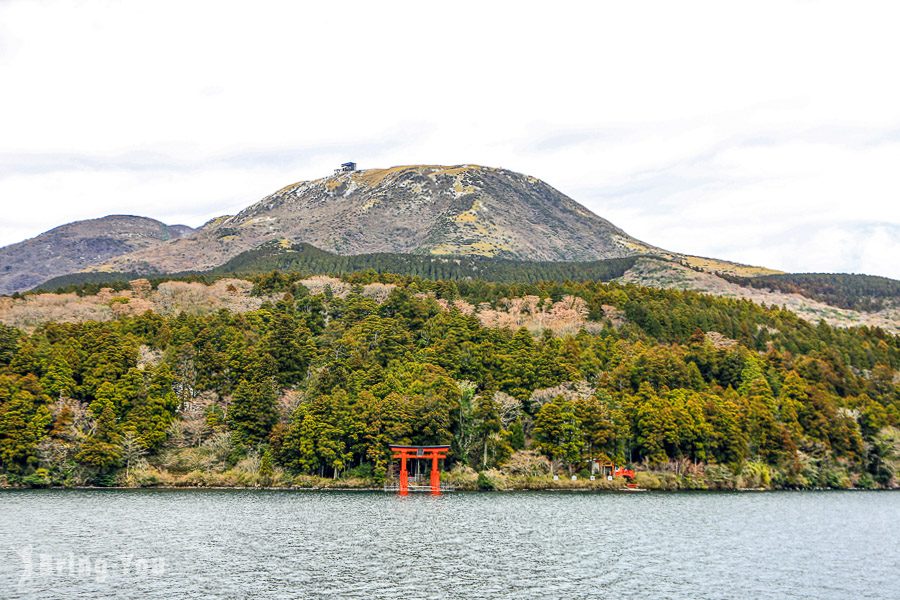 箱根周游券