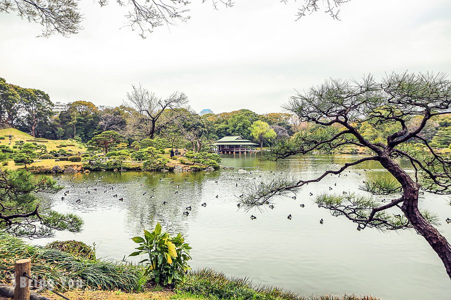 清澄庭園