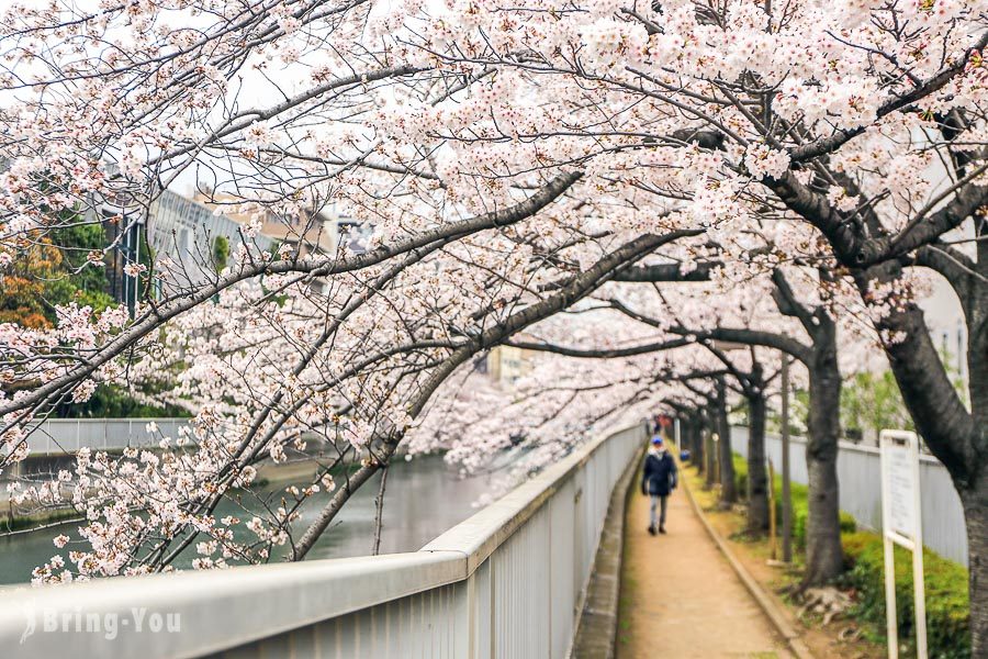 東京淺草一日遊