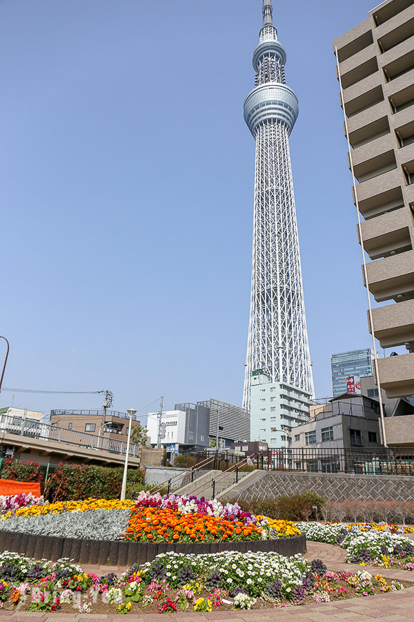 大橫川親水公園