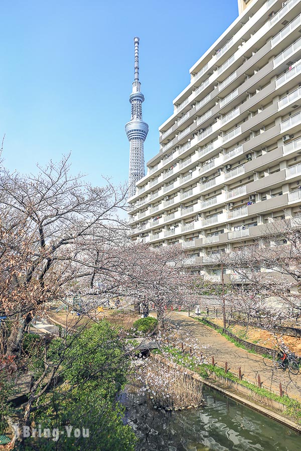 大橫川親水公園