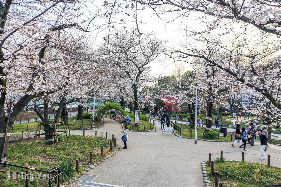 隅田公园樱花祭