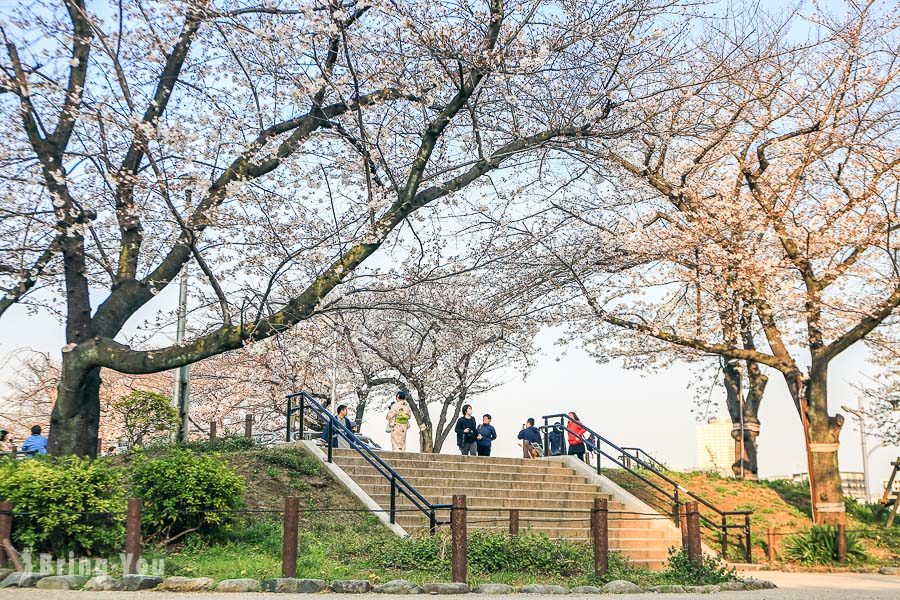 隅田公園櫻花祭