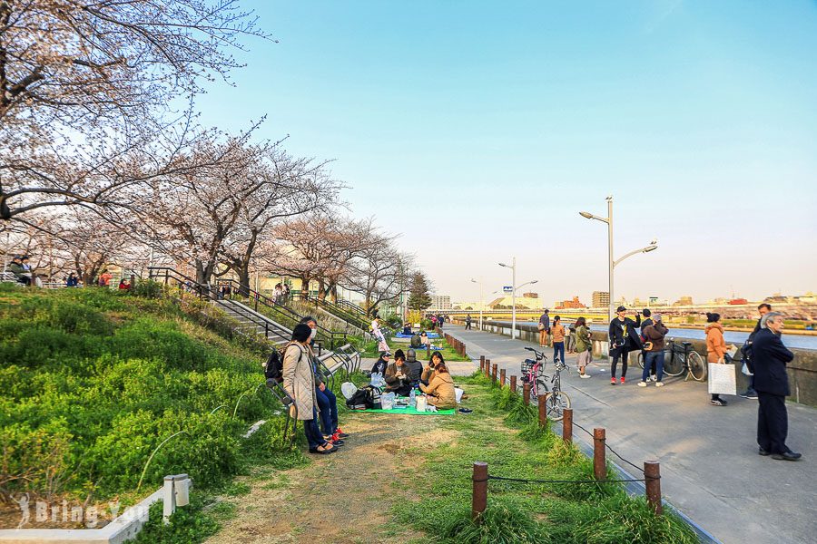 隅田公園櫻花祭