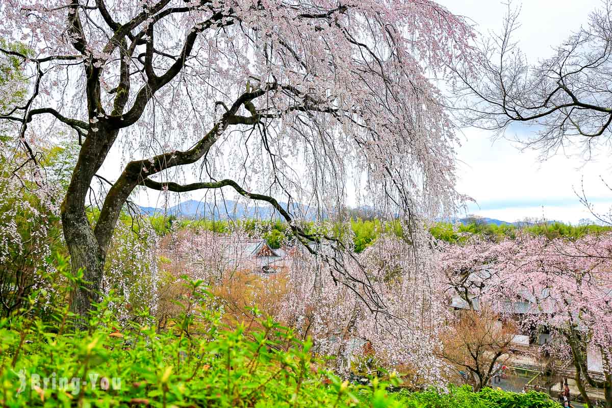 天龍寺