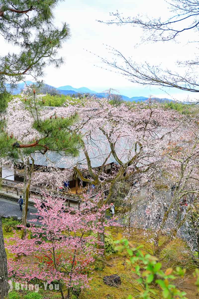 天龍寺