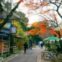 東京上野恩賜公園景點攻略：秋季銀杏賞楓散策，博物館、神社等景點介紹