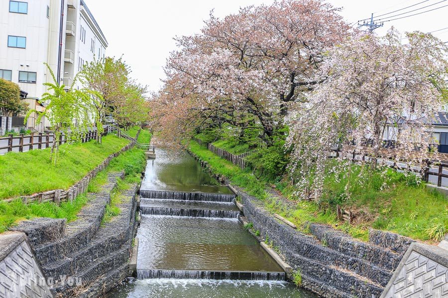 冰川神社