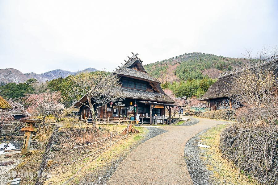 西湖治愈之村 里根场小合掌村