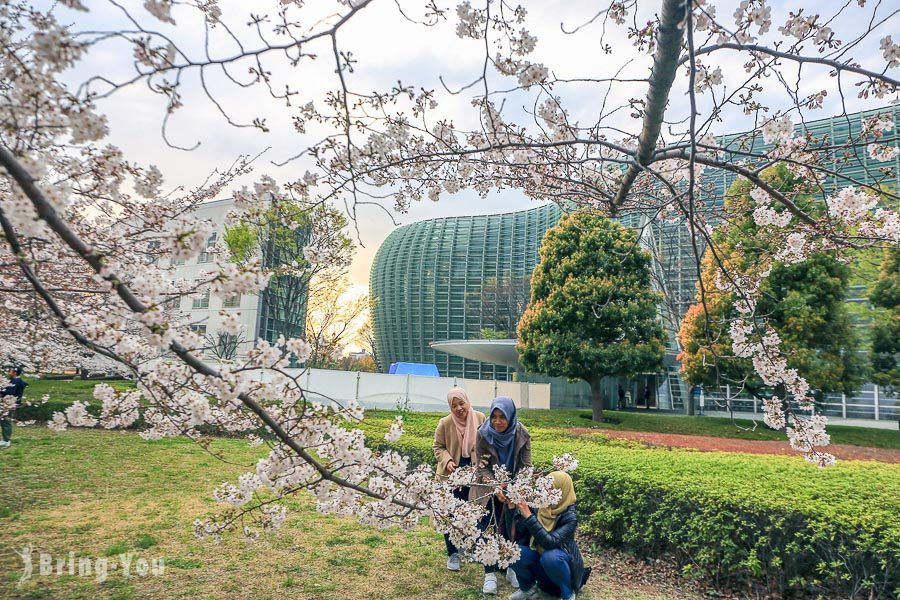 六本木國立新美術館