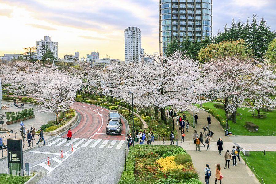 六本木東京中城櫻花坂