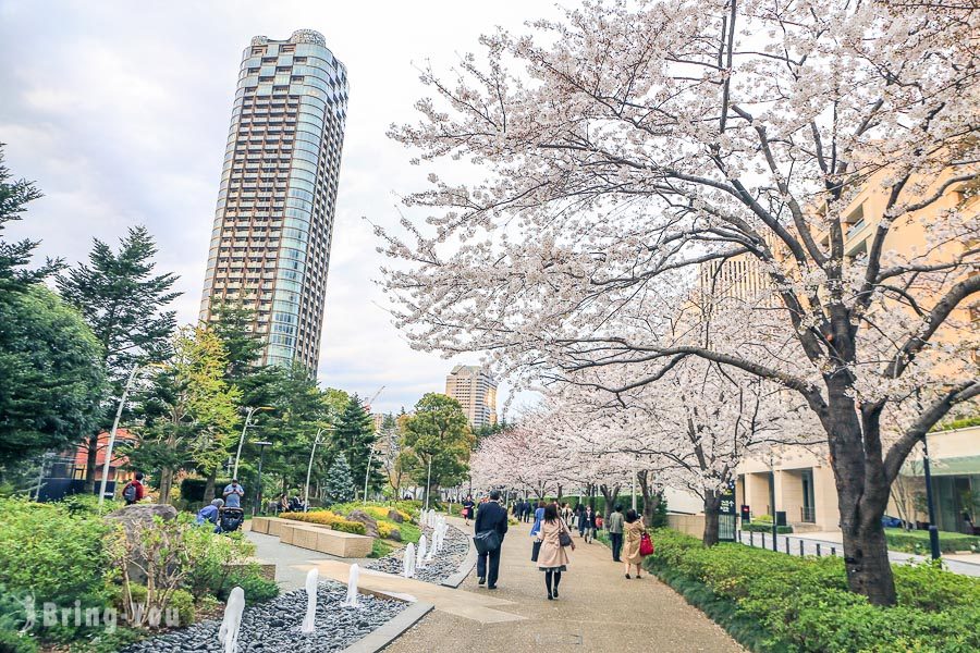 东京赏樱景点