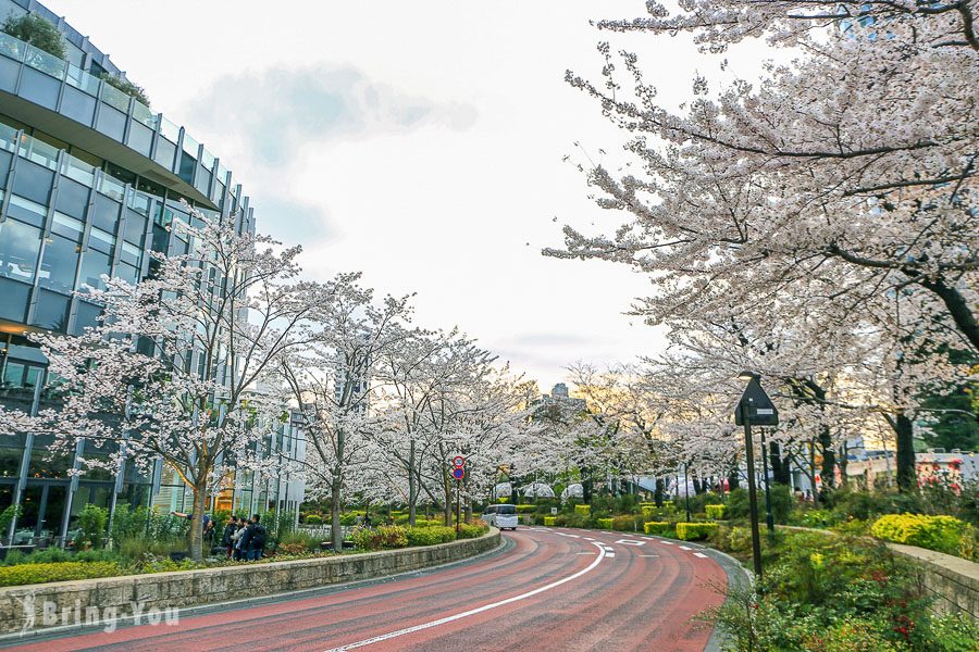 六本木東京中城櫻花坂