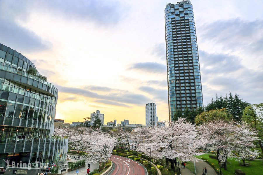 六本木東京中城櫻花坂