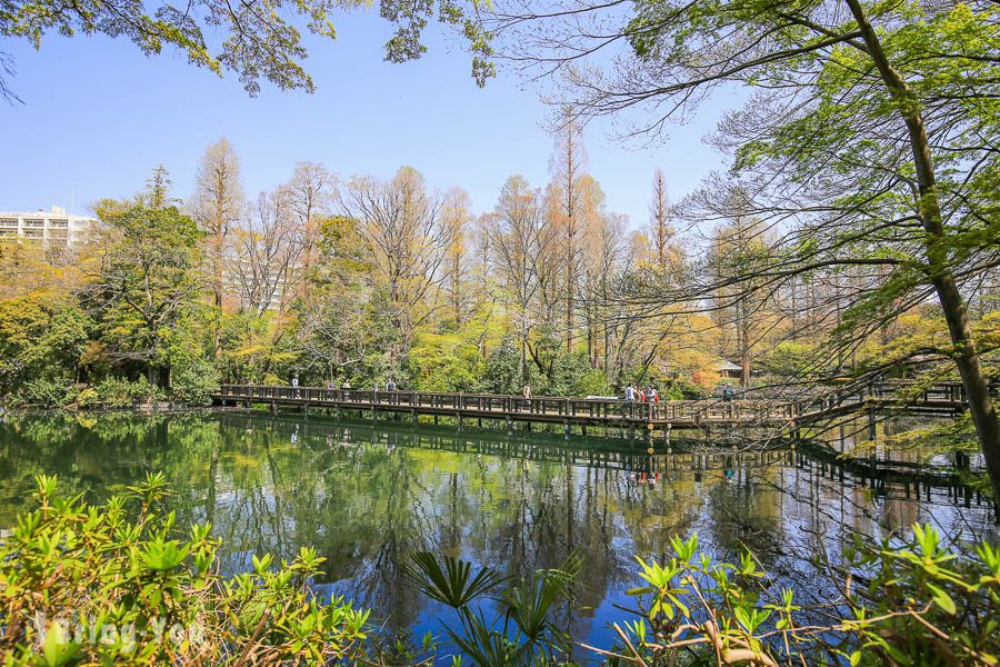 井之頭恩賜公園景點