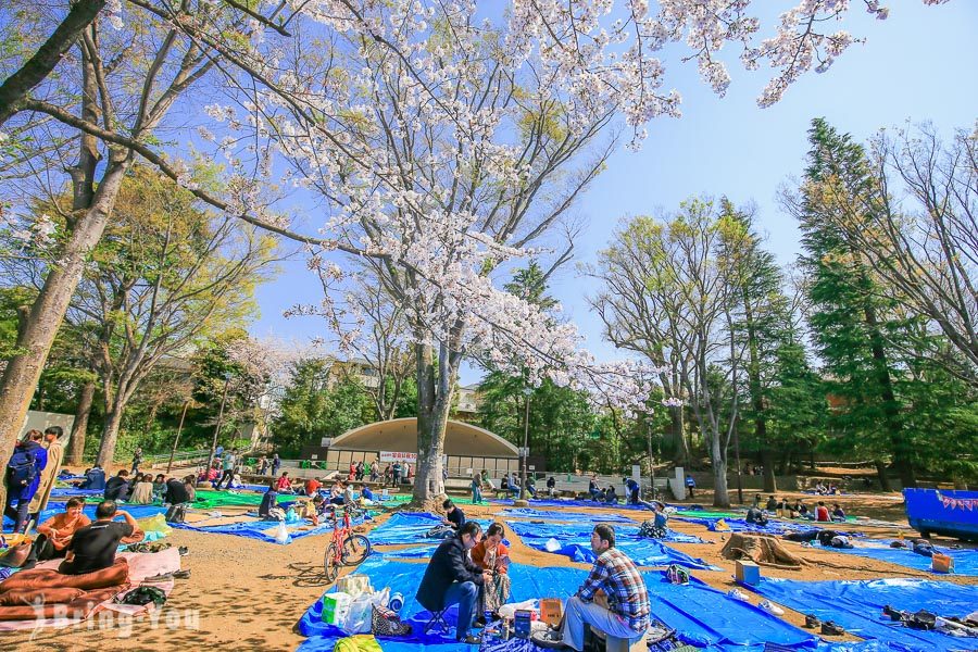 井之頭恩賜公園櫻花