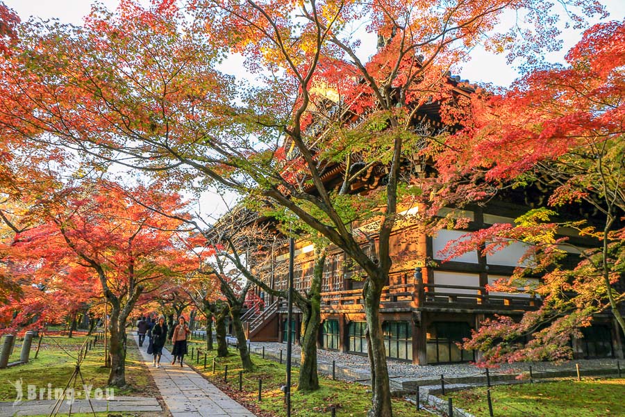 京都真如堂（真正極樂寺）：南禪寺附近免費賞楓景點