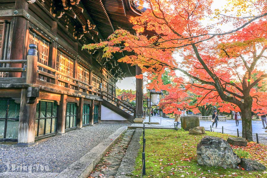 9 Best Autumn Leaves Viewing Spots in Kyoto Including Popular Sites and Rare Finds