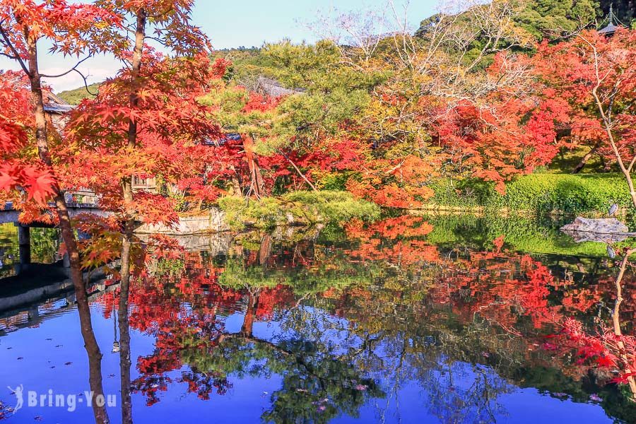 永觀堂賞楓