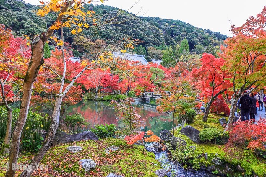 永观堂赏枫